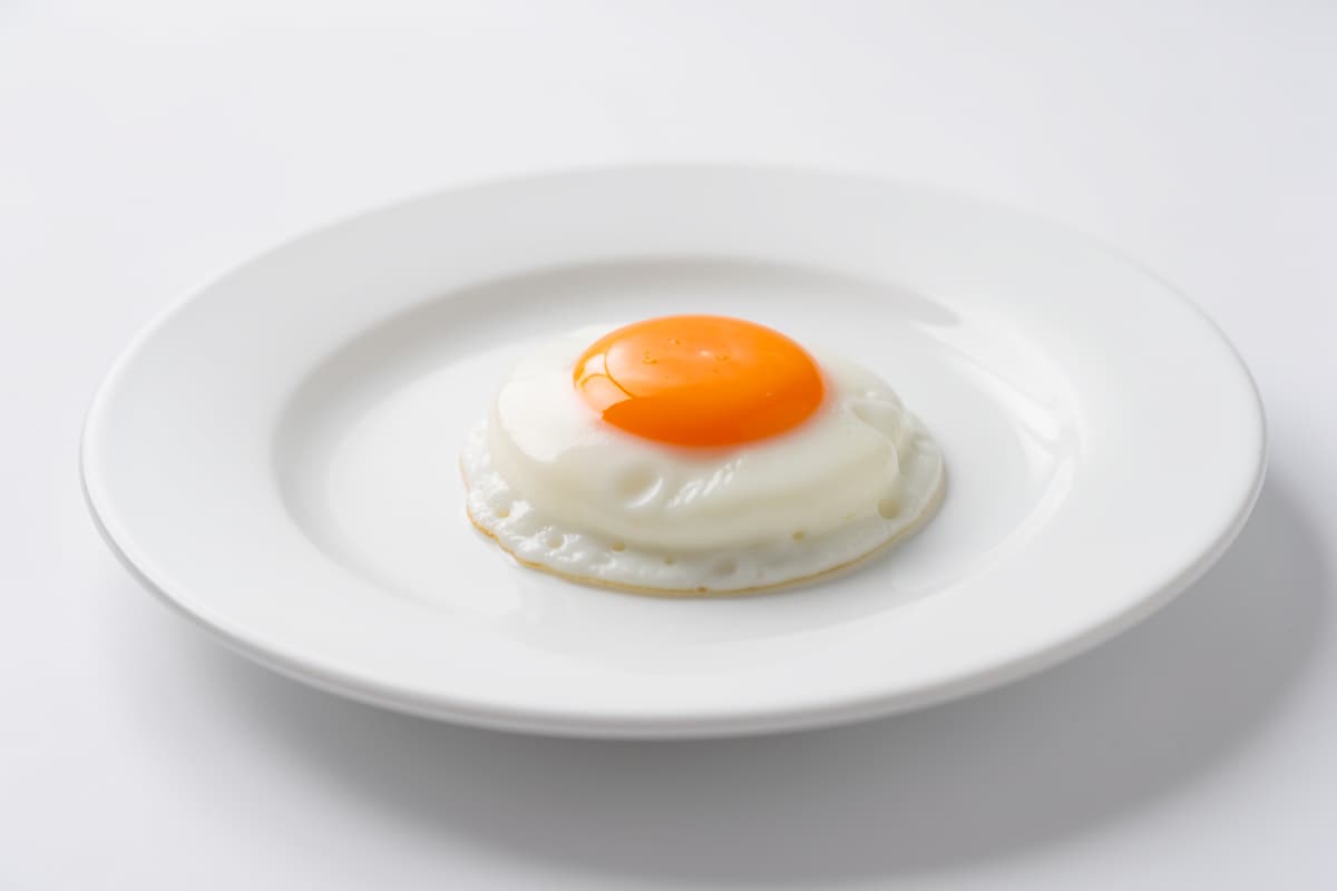 1 Egg