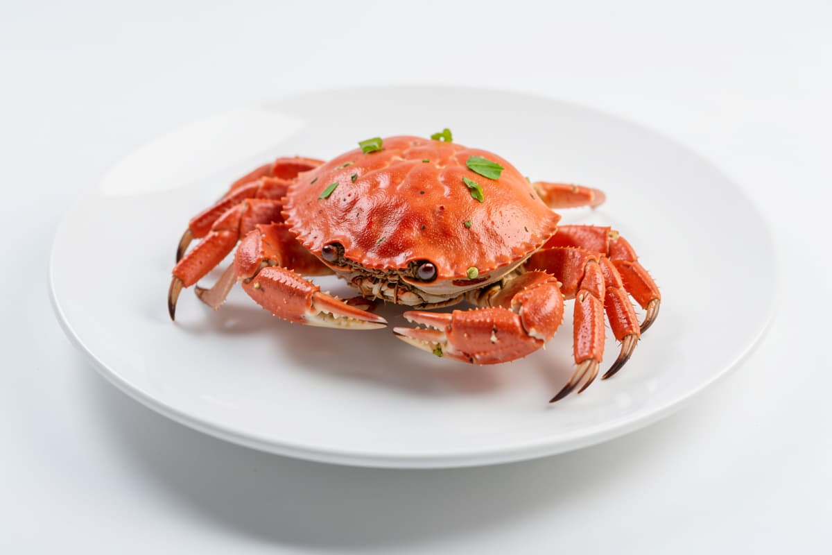 Artificial Crab