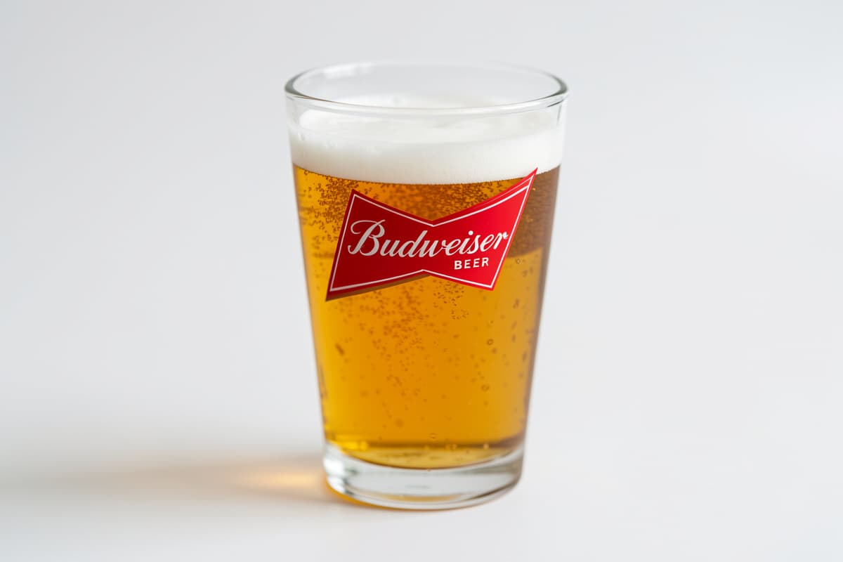 Budweiser Beer