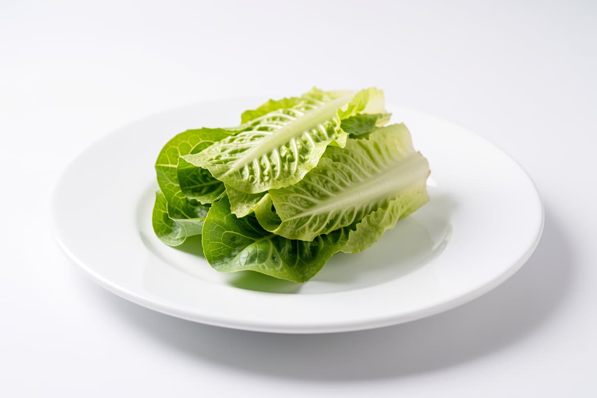 Head Of Lettuce