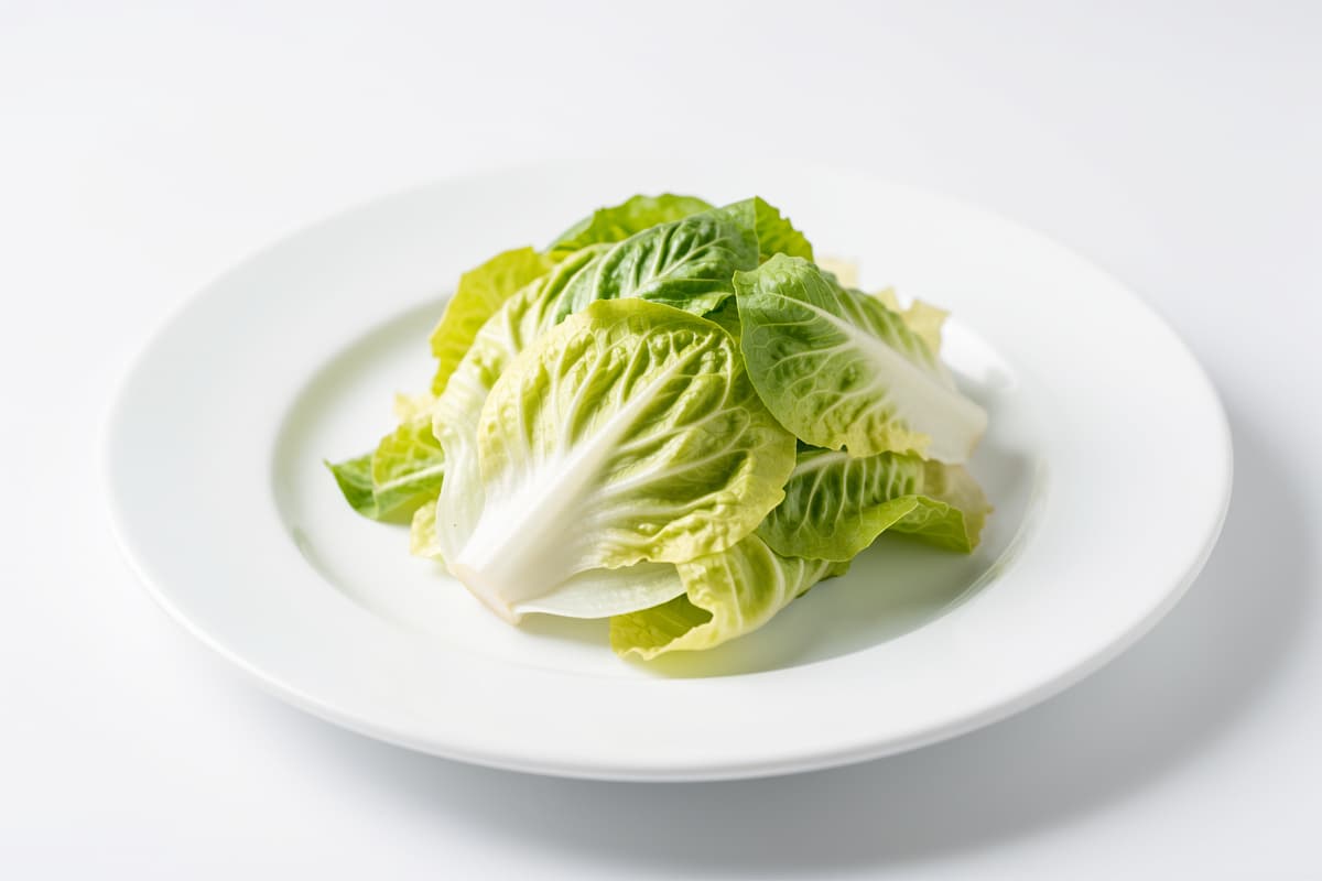 Iceberg Lettuce