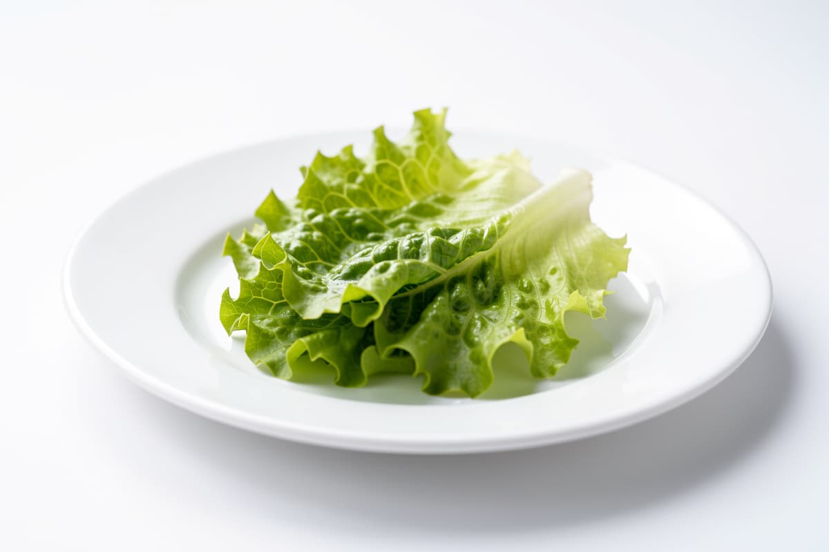 Lettuce Leaf