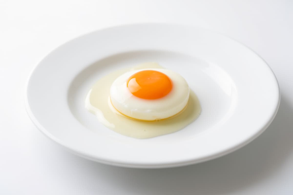 One Egg