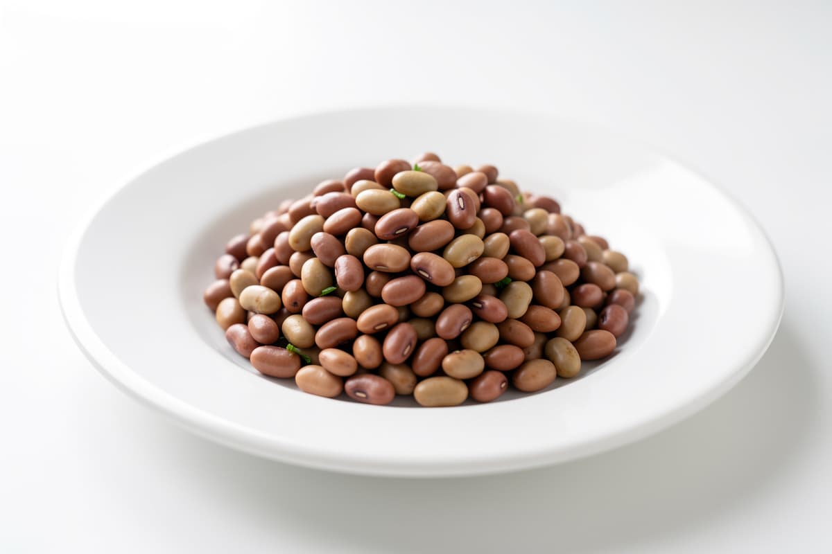 Pinto Bean