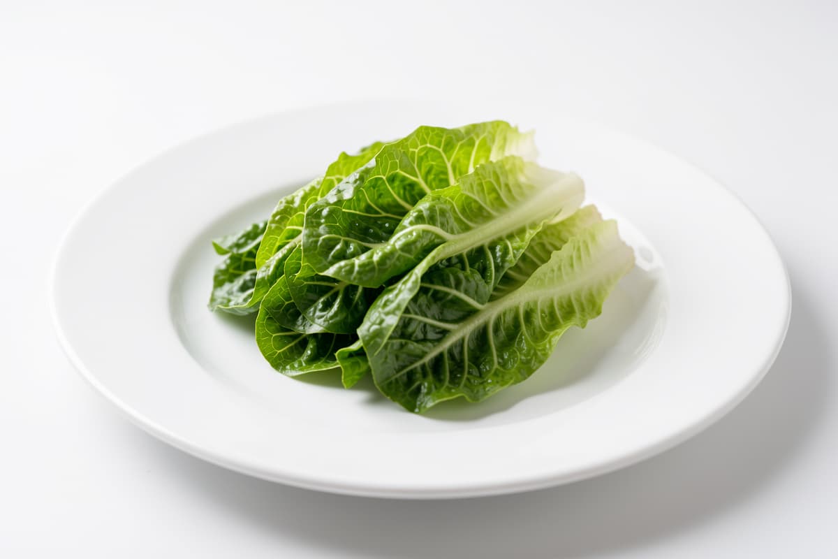 Romaine