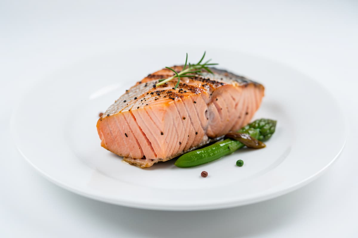 Salmon Protein 8 Oz